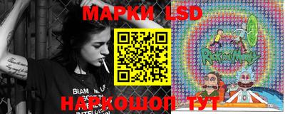 амф Камышлов