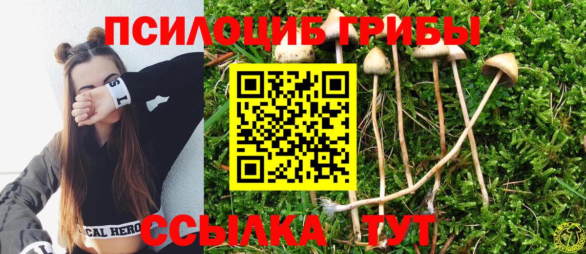 Псилоцибиновые грибы GOLDEN TEACHER  наркота  Благовещенск  Псилоцибиновые грибы Magic Shrooms  Вход с VPN 