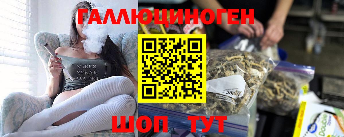 Псилоцибиновые грибы мицелий Благовещенск